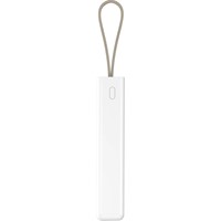 Powerbank