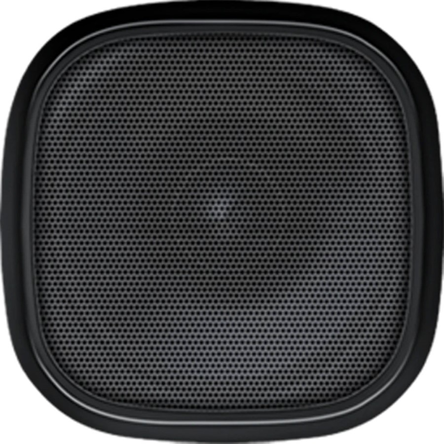 Speaker